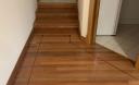 Get Timber Floors in Ascot park logo